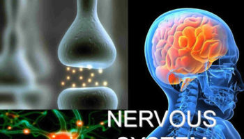 neurological disorders