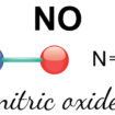 nitric oxide