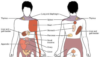 referred pain