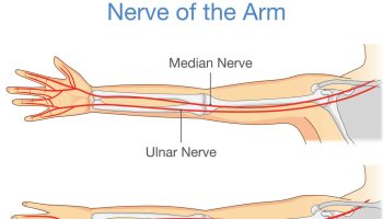 ulnar-nerve