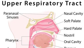 upper-respiratory-infection