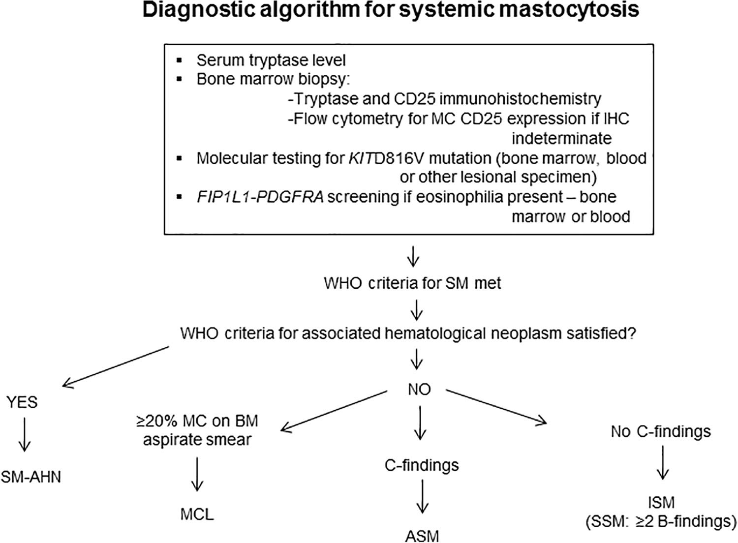 Systemic mastocytosis diagnostic algorithm