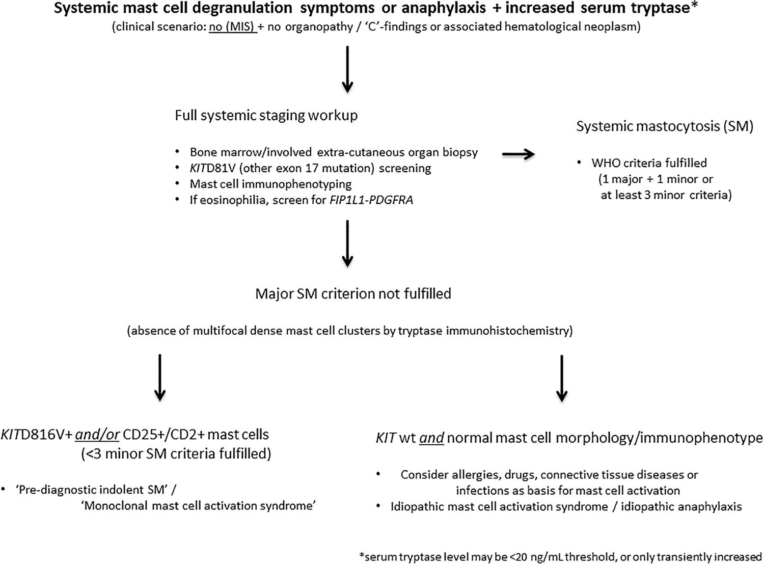 Systemic mastocytosis diagnostic algorithm