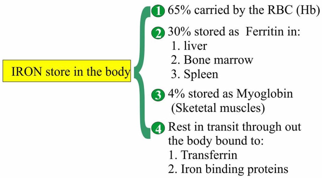 Total ironbinding capacity definition, function, causes of high or low iron binding capacity