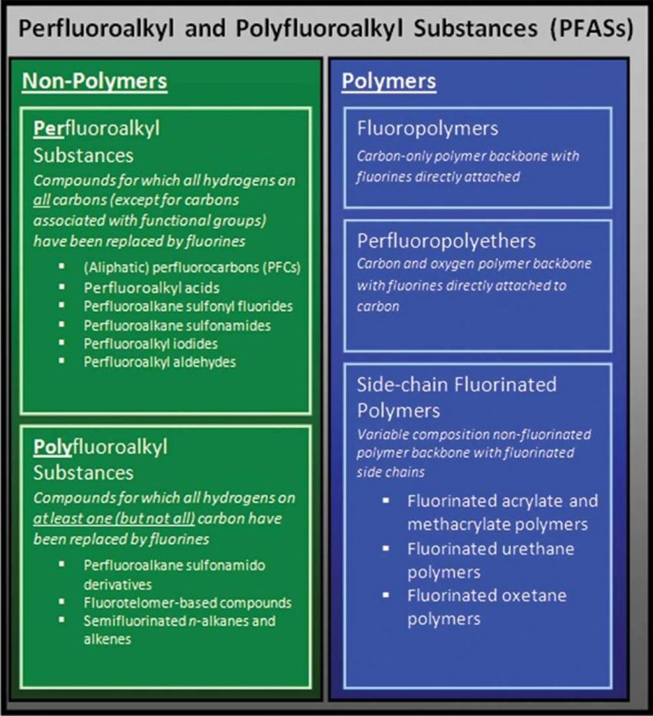 PFAS and forever chemicals, uses, human exposure and effects on human ...