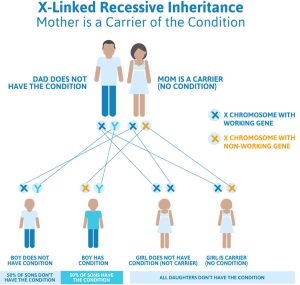 Wiskott-Aldrich syndrome triad, causes, symptoms, diagnosis & treatment