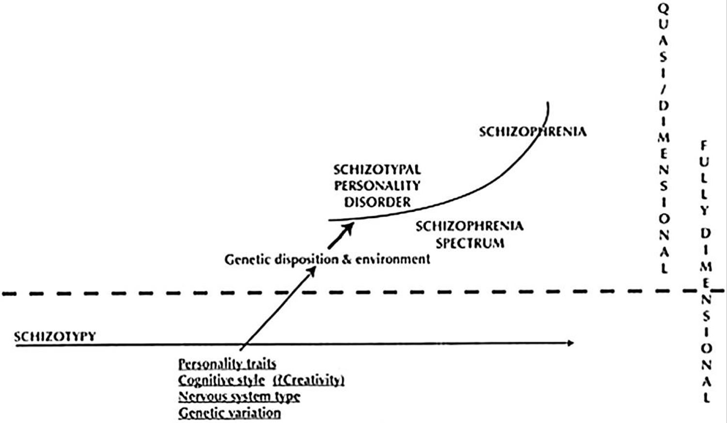 Model of schizotypy