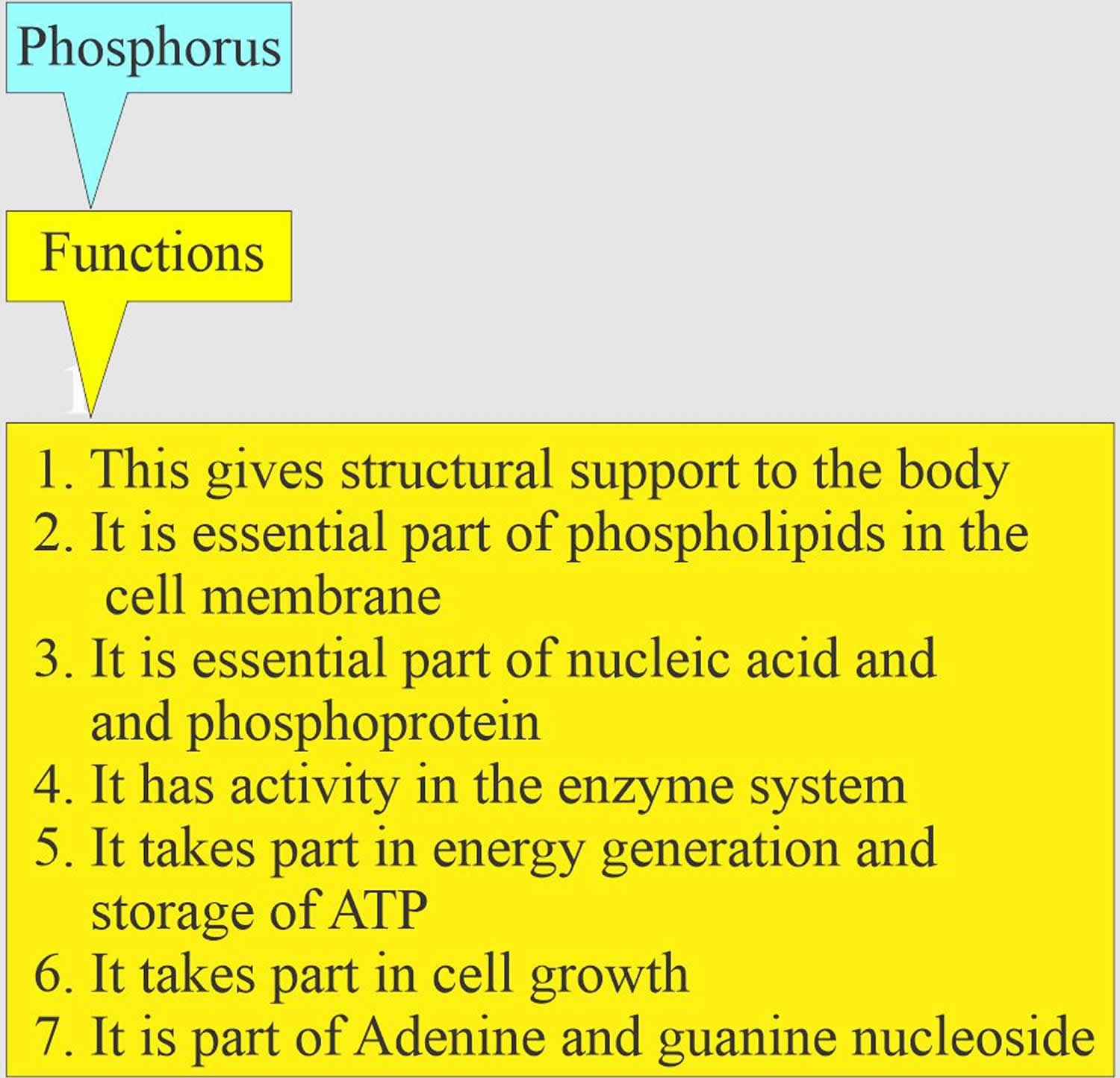 phosphorus functions