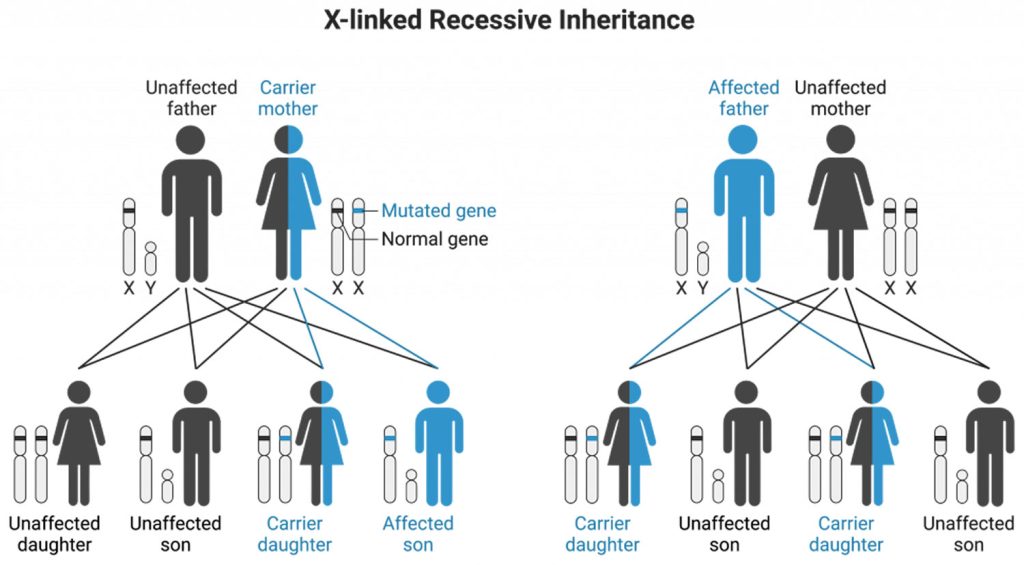 Mendelian inheritance, non-Mendelian inheritance