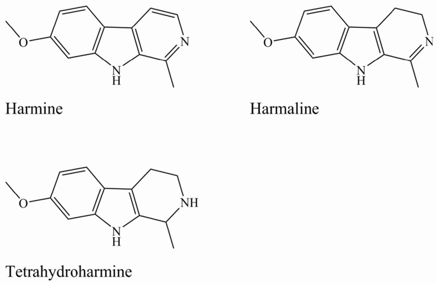 Beta-carbolines