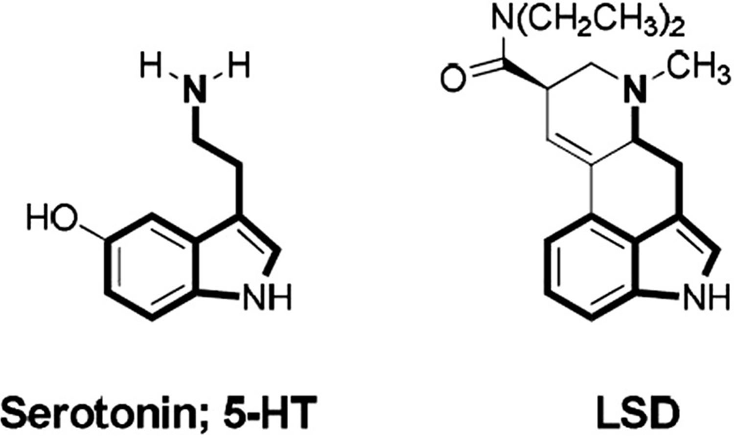 Chemical structures of serotonin and LSD