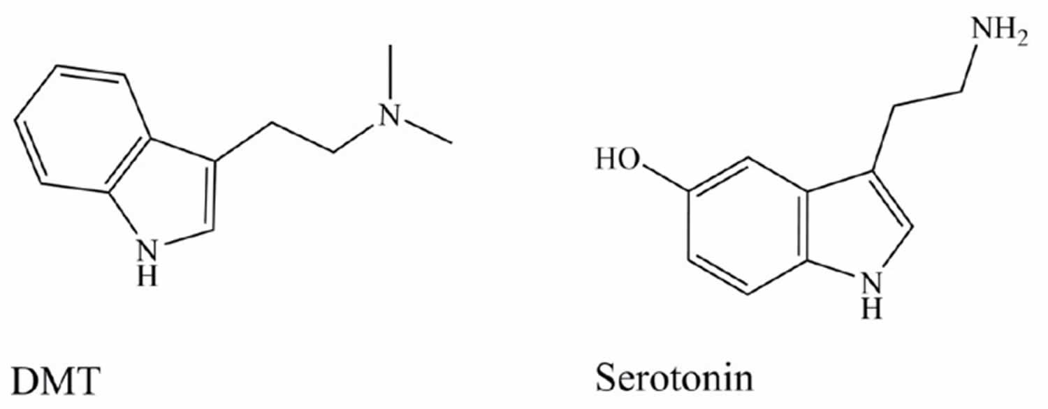 Dimethyltryptamine and serotonin