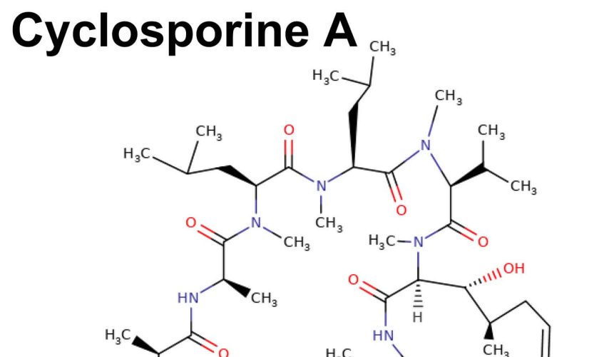 cyclosporine A