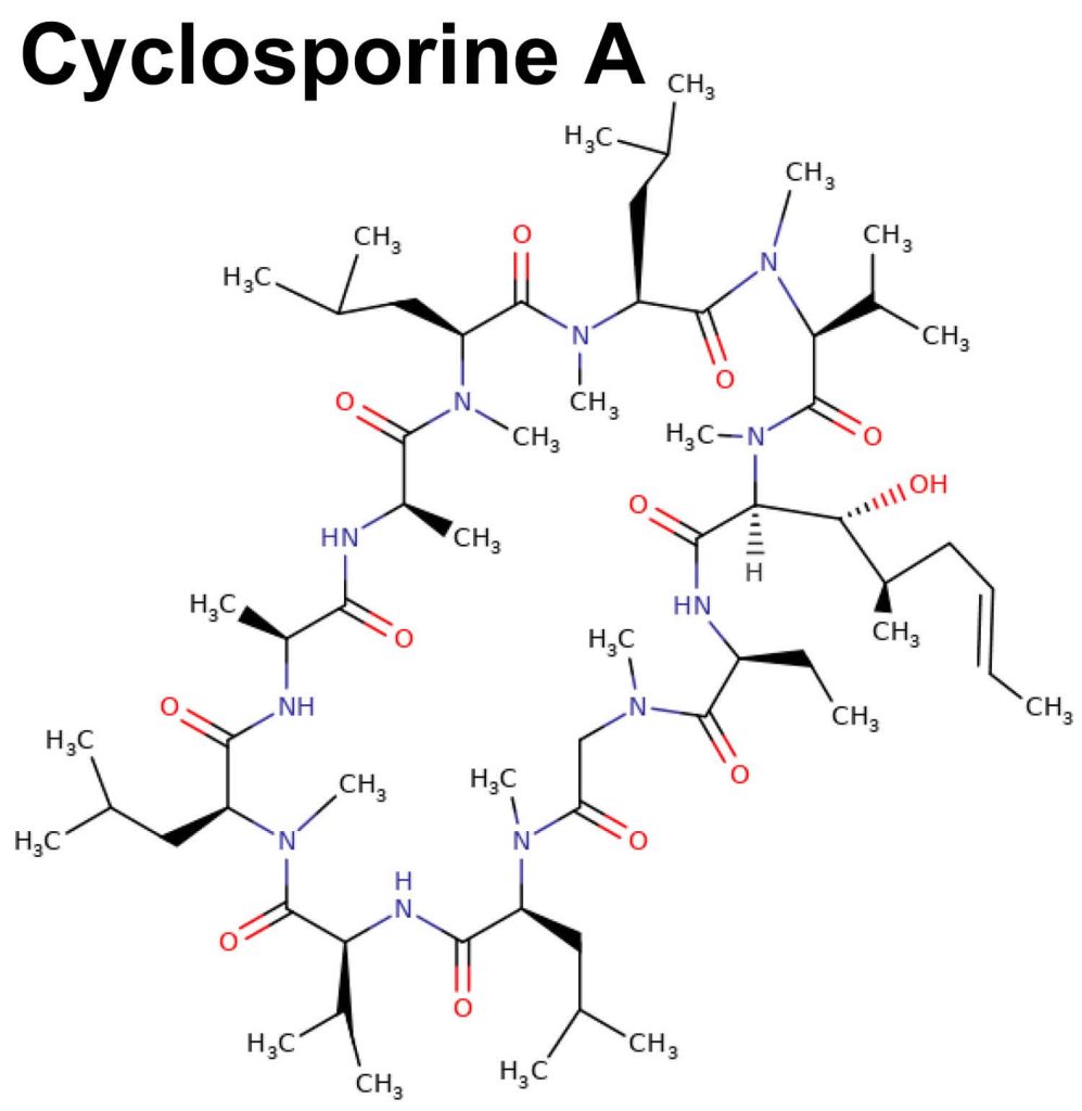 Cyclosporine uses, mechanism of action, dosage & side effects