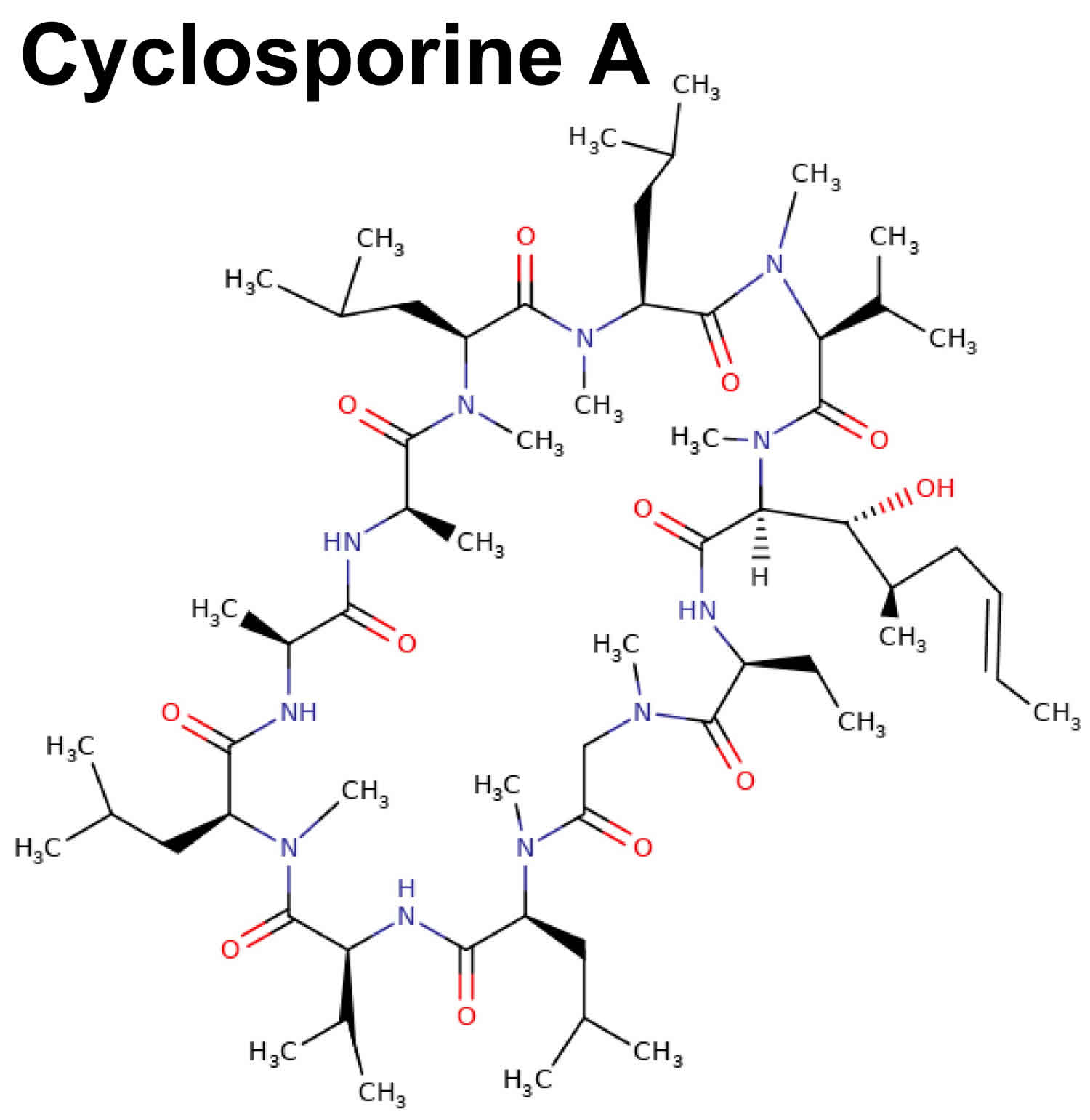 cyclosporine A