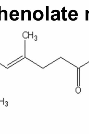 mycophenolate-mofetil structure
