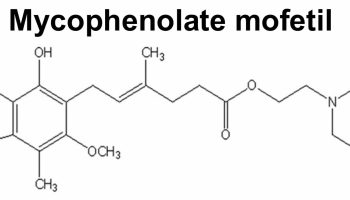 mycophenolate-mofetil structure