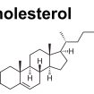cholesterol