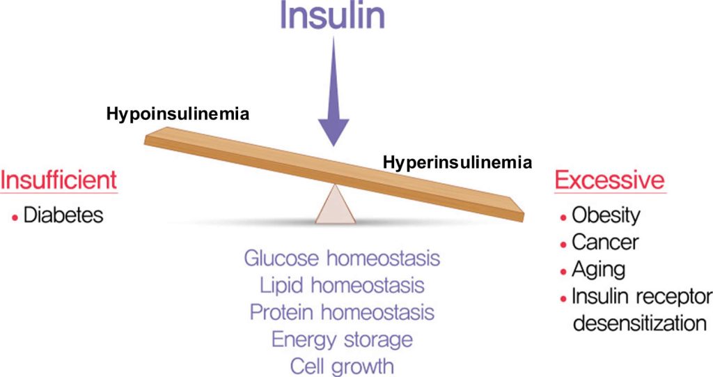 Hyperinsulinemia meaning, causes, levels, diagnosis & treatment