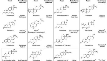 anabolic steroids