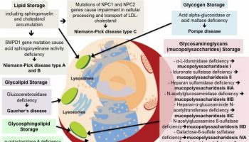 Lysosomal-storage-disease