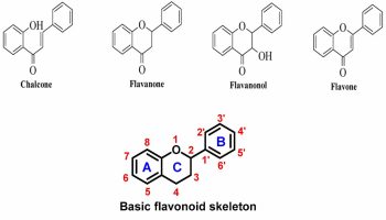 Flavonoids