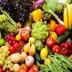 antioxidants