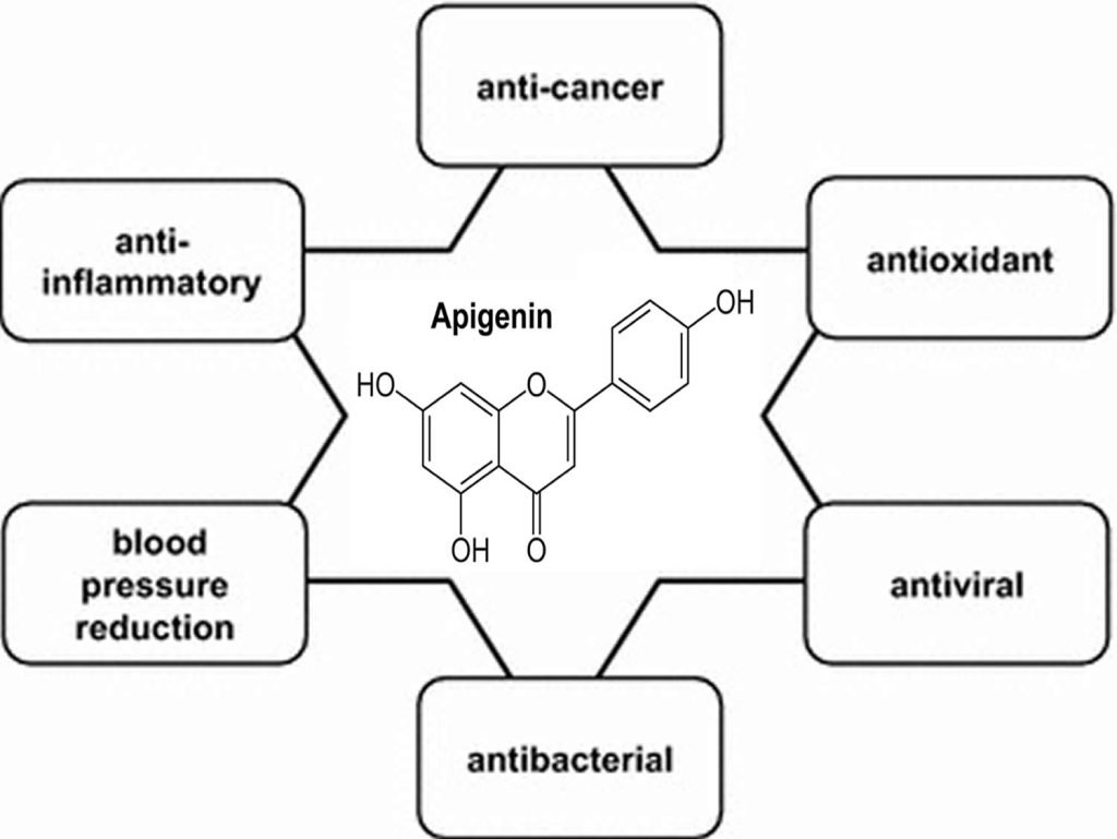 Apigenin, food sources, safety, dosage & side effects