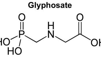 glyphosate