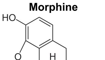 morphine