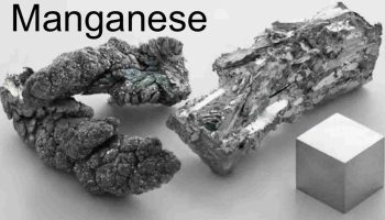 manganese toxicity