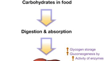 glycogen storage disease