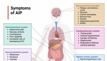 Acute intermittent porphyria signs and symptoms