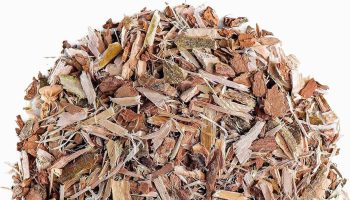 Willow bark