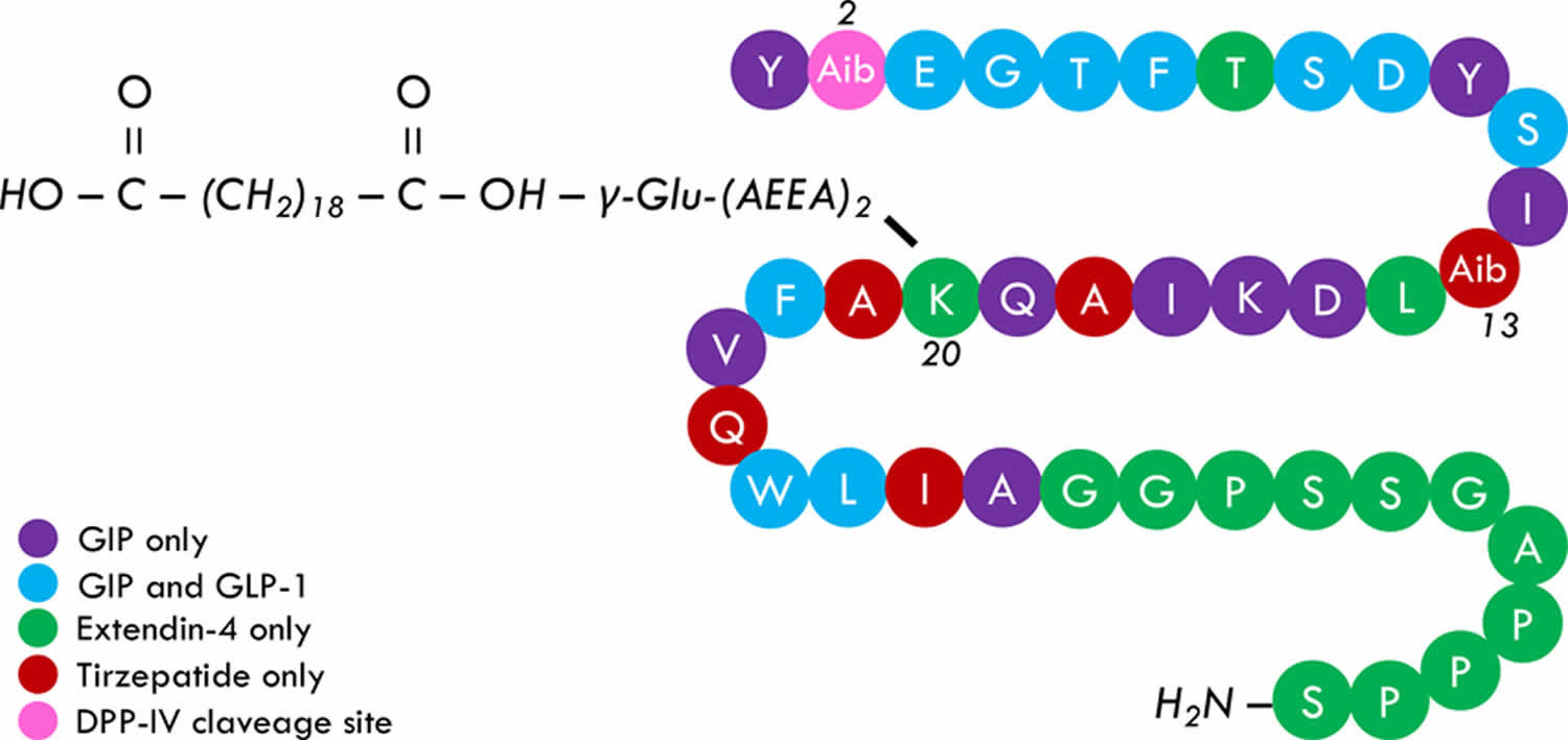 Mounjaro chemical structure